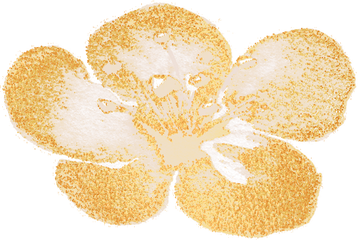 640-38