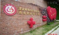 以爱为名，赴荔之约｜电白520喊准新人来最美婚姻登记处“领证+看海”啦