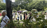 已约满！不少深圳人抢到了！网友：早上定五、六个闹钟就为了抢号