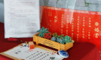 喜上梅梢 · 情定西湖，西湖区婚姻登记处发放婚书啦！