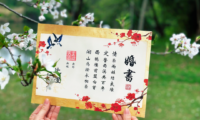 西湖区婚姻登记处推出定制婚书！领证攻略来啦