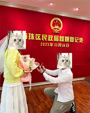 线上交友服务